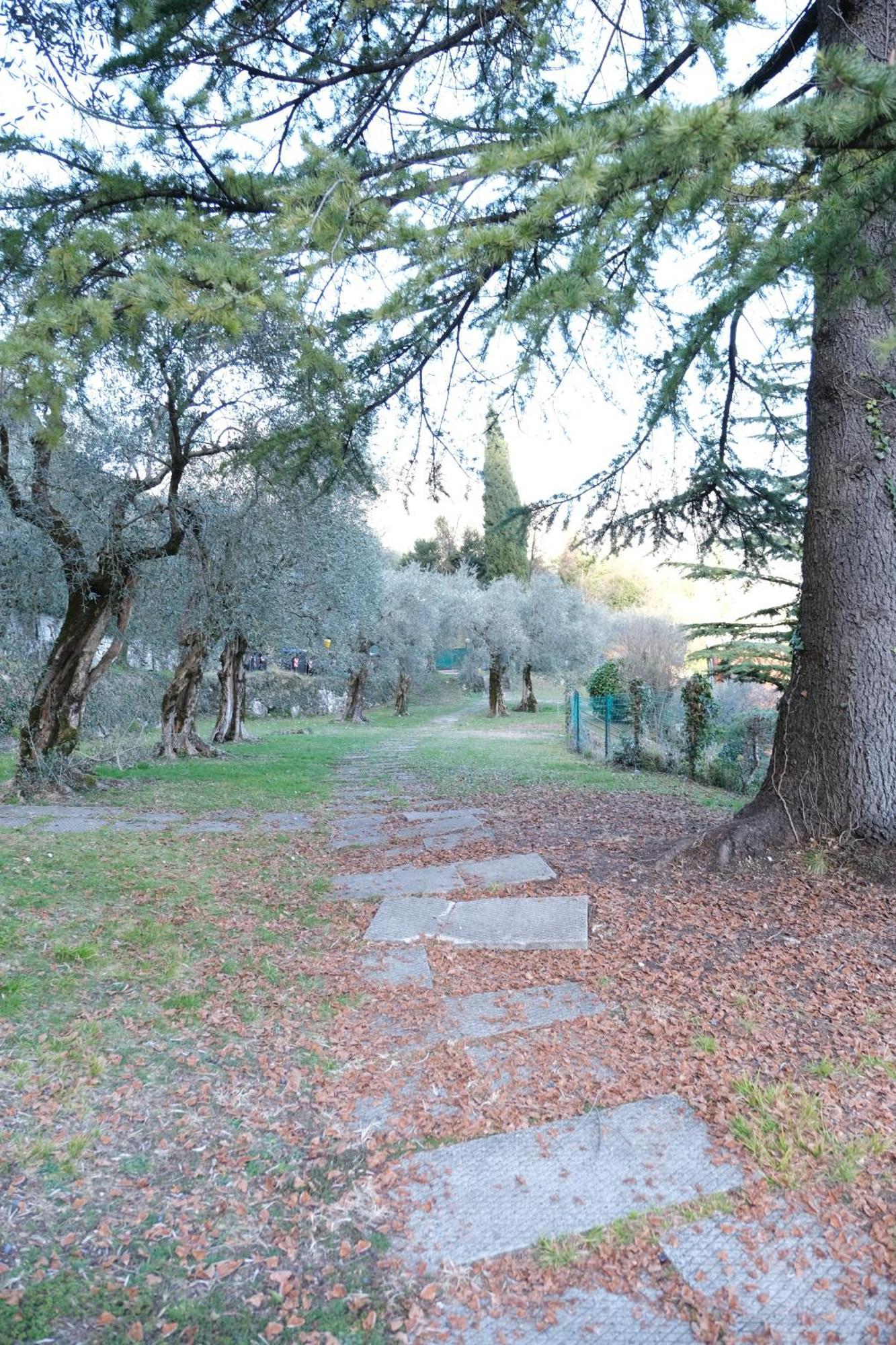 Casa Segantini - Panorama Pool Apartment Gavazzo Nuova المظهر الخارجي الصورة